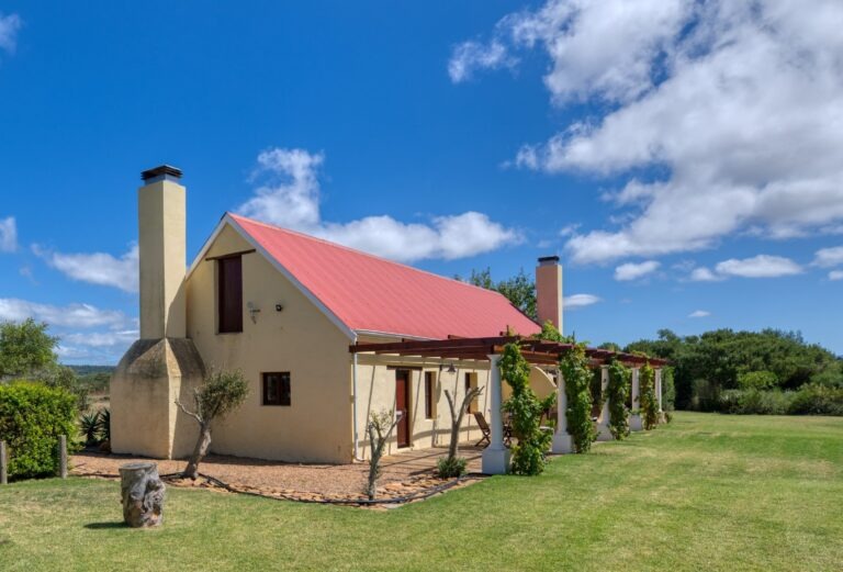 Strandveld Vineyard