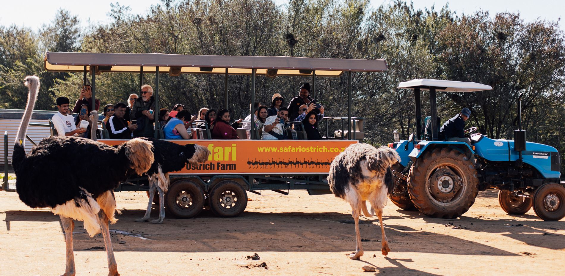 Safari Ostrich Show Farm