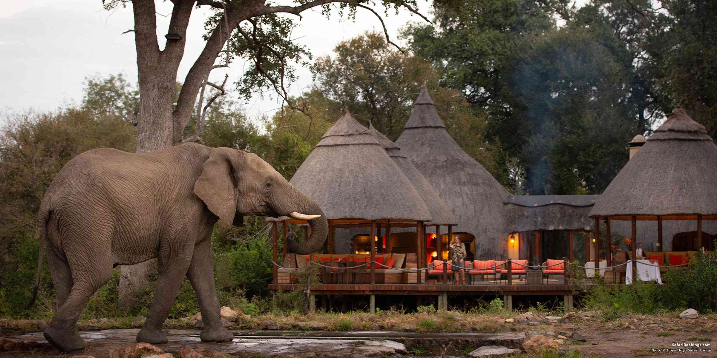 Kruger National Park