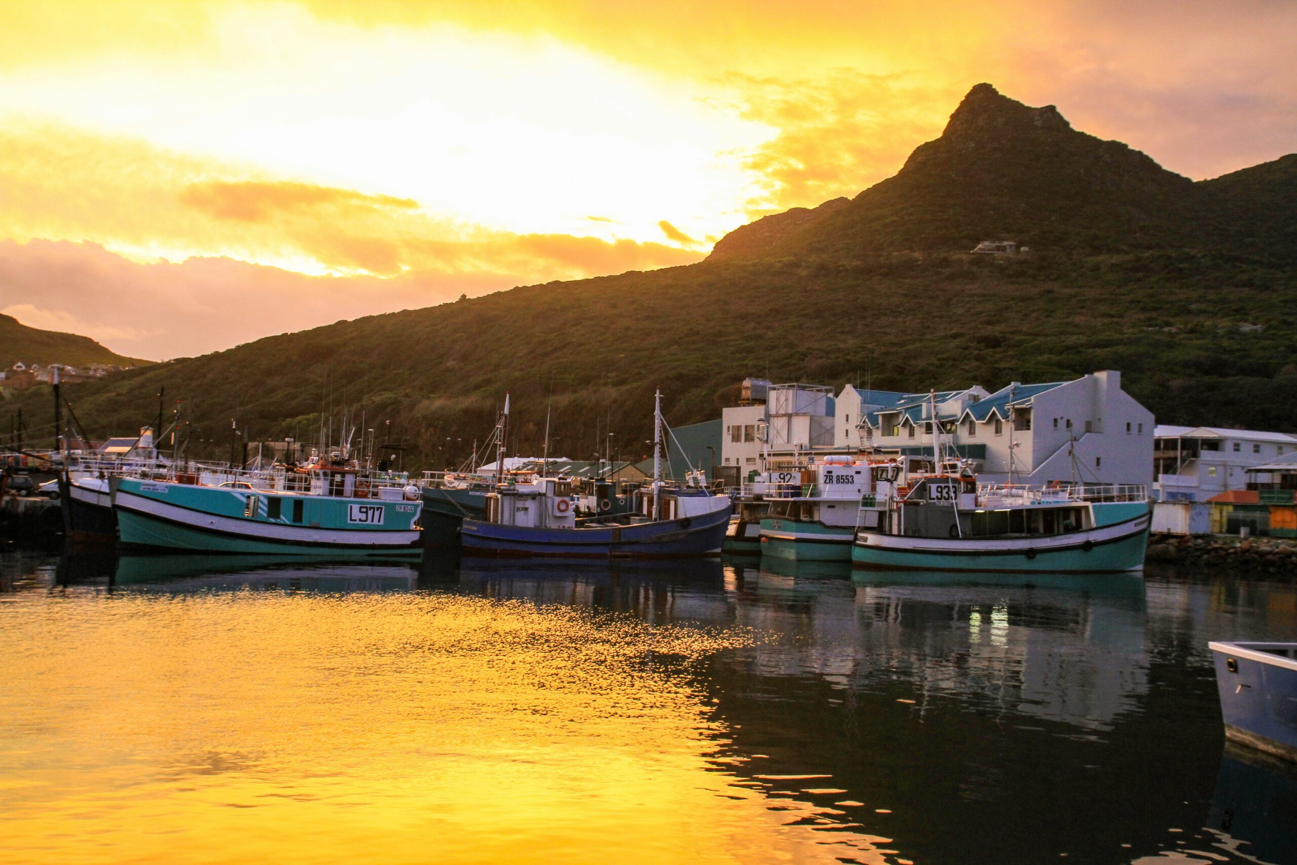 Hout Bay Harbour