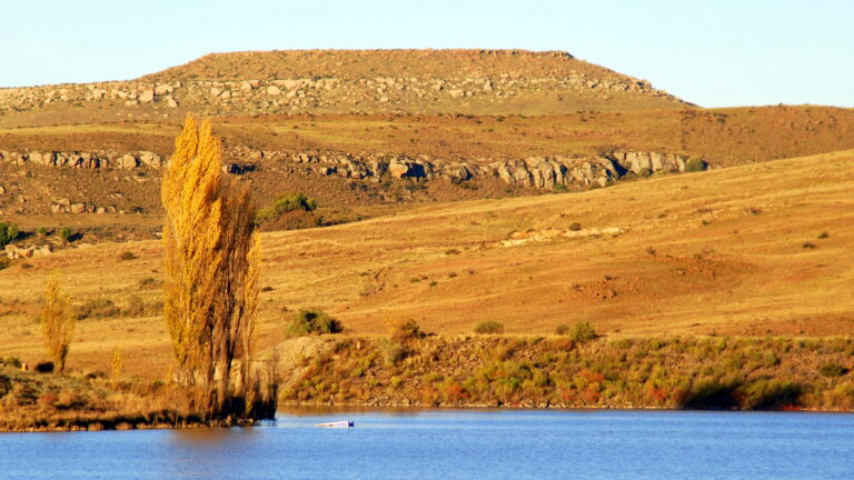 Molteno