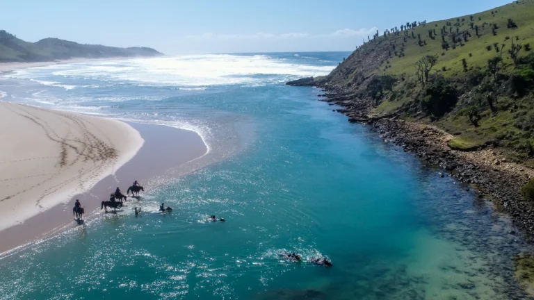 Dutywa Coast