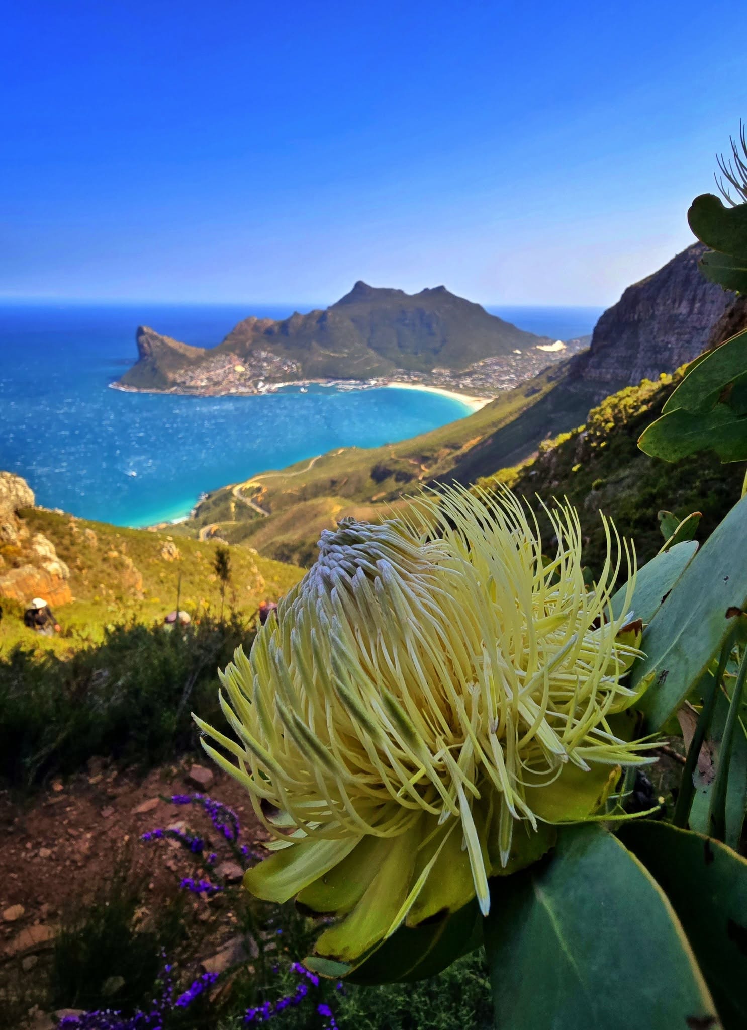 Mazeppa Bay