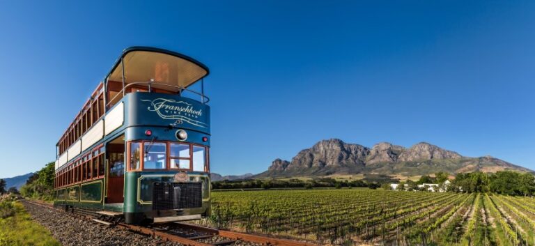 Double-decker Franschhoek Wine Tram beside vineyard rows