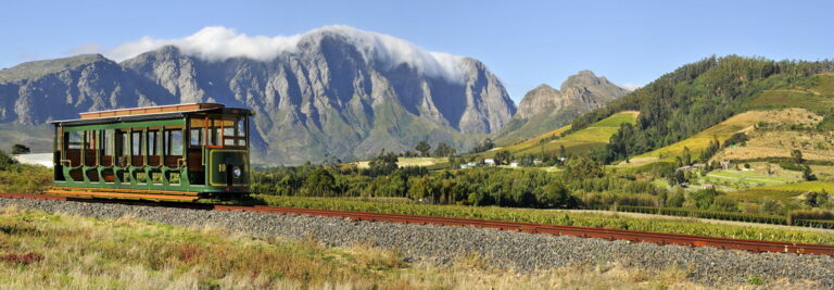 Franschhoek Wine Tram travelling through vineyards beneath mountains