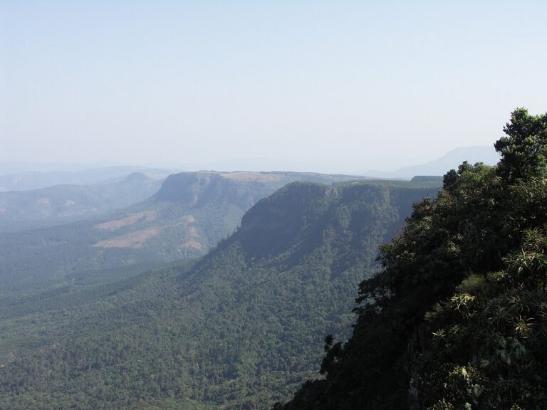 Forested escarpment stretching into the distance at God’s Window
