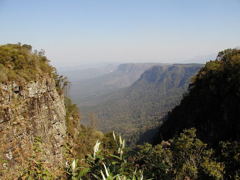 Distant Lowveld views framed by cliffs and vegetation