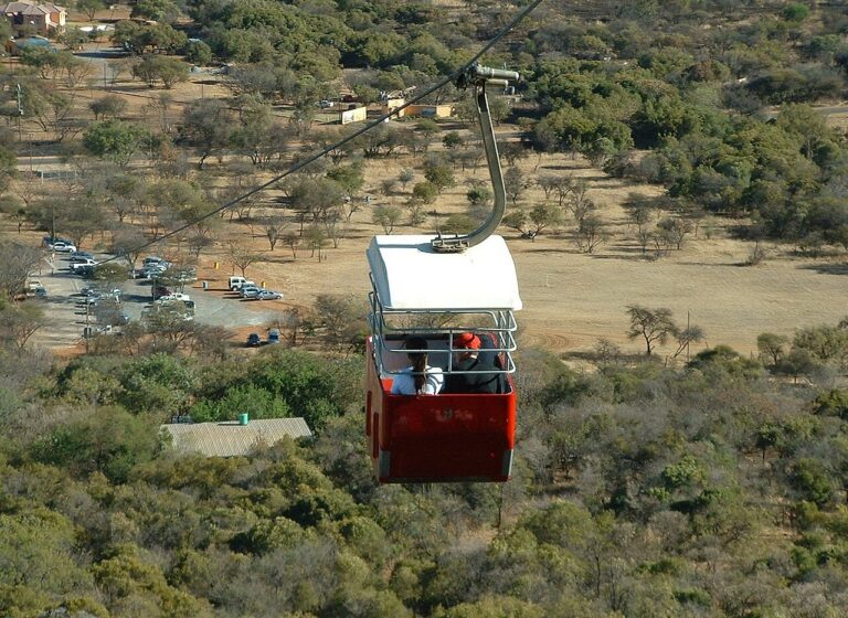 Cable car suspended above wooded slopes at Hartbeespoort