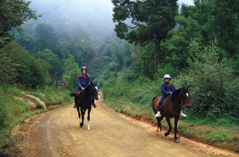 Hogsback