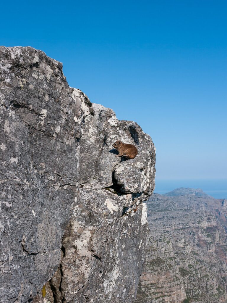 Steep grey rock face beneath a clear blue sky