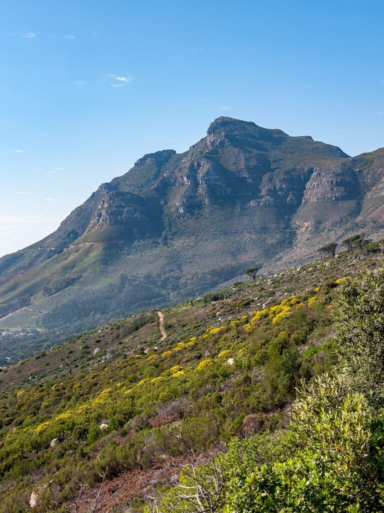 Mountain ridge and fynbos on the slopes near Table Mountain