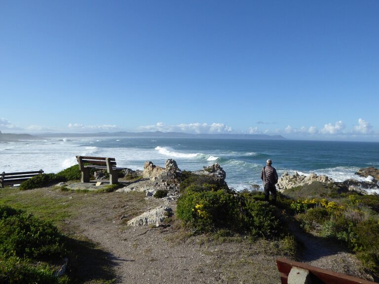 Rocky coastal viewpoint overlooking breaking waves