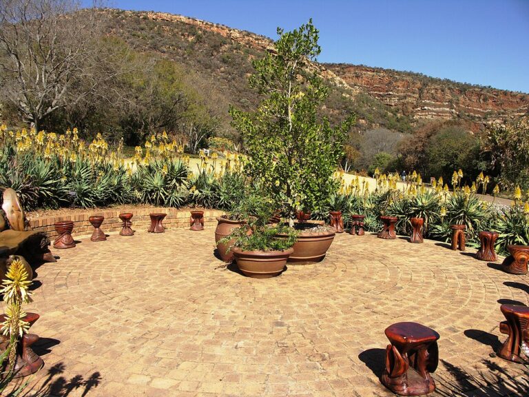 Potted plants displayed in a botanical garden courtyard
