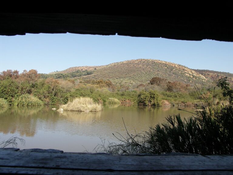 Quiet pond and hills viewed from a shaded garden shelter